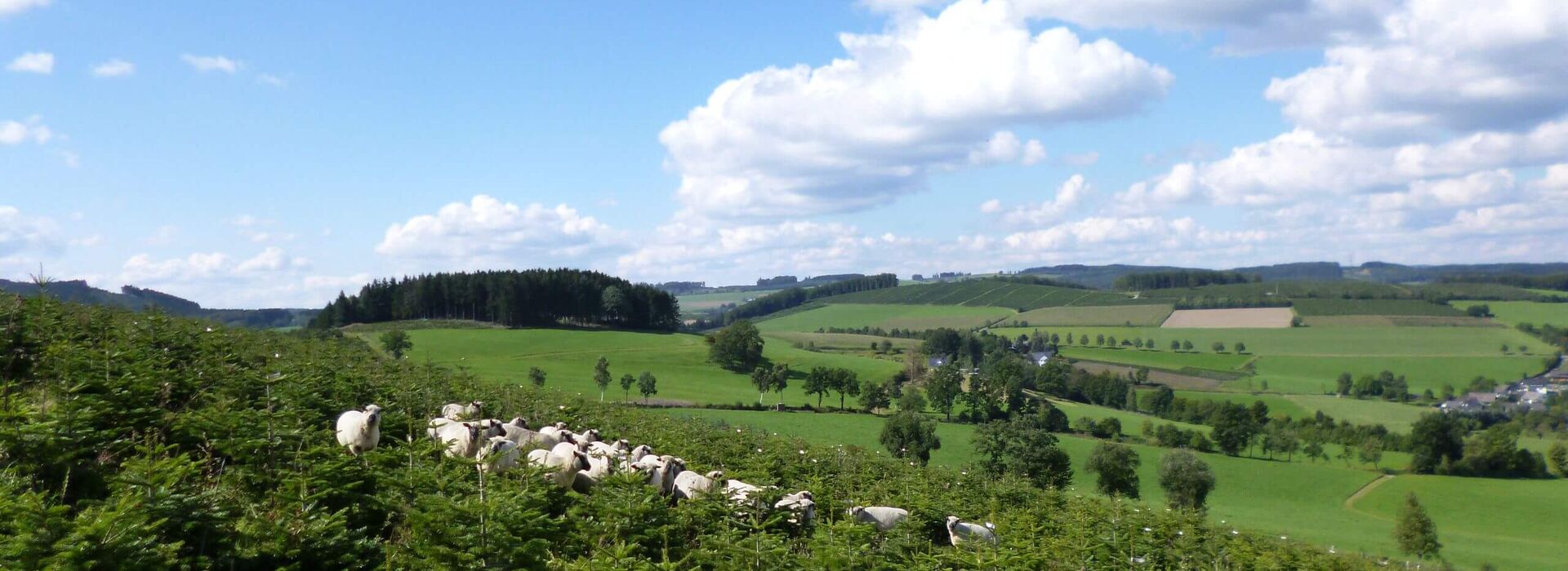 Qualität aus ökologischem Landbau